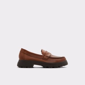Aldo Biglect - Lug Sole Mules Hnede | LQIXJ-5918