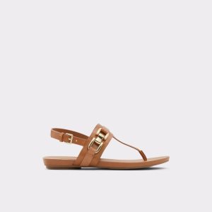Aldo Gannamaryn T-strap Sandal Sandále Hnede | SGRMJ-3794