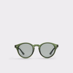 Aldo Graewien Round Slnecne Okuliare Hnedožltý | ISXMY-2784