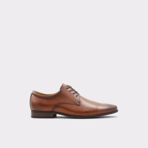 Aldo Noicien-w Derby Oxfordky Hnede | NQTHF-6142
