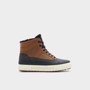 Aldo Snowmass Low Top - Cup Sole Gumaky Hnede | CZBPV-0512
