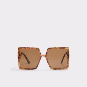 Aldo Ybaledia Square Slnecne Okuliare Hnede | EPGNA-0817